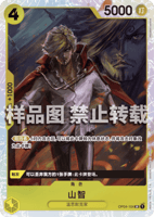 波尔·汉库珂(OP14)