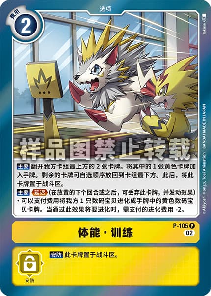 フィジカル・トレーニング